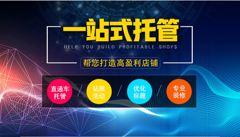 站群程序出售：开启网络营销新纪元