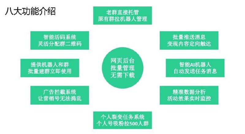 站群程序市场动态与应用解读