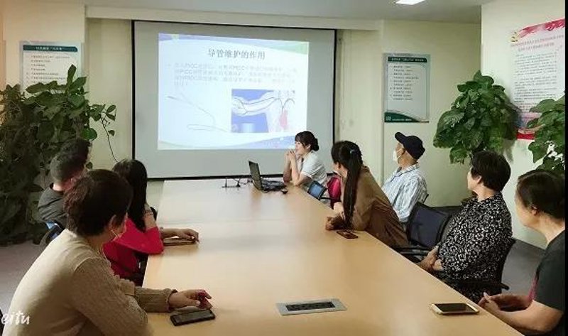 站群程序的兴起与市场需求